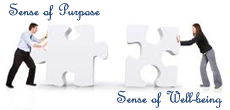 Sense of Purpose and Well-Being