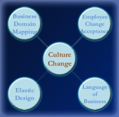Culture Change